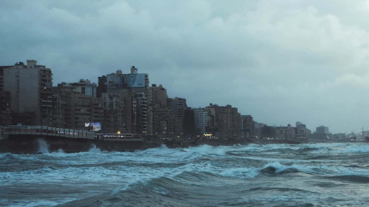 پاکستان کے ریڈٹ انفلوئنسرز بھارت میں برانڈز کے ساتھ کیسے کام کریں