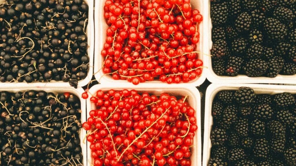 Top 10 Pinterest Influencers You Should Collaborate With in Netherlands
