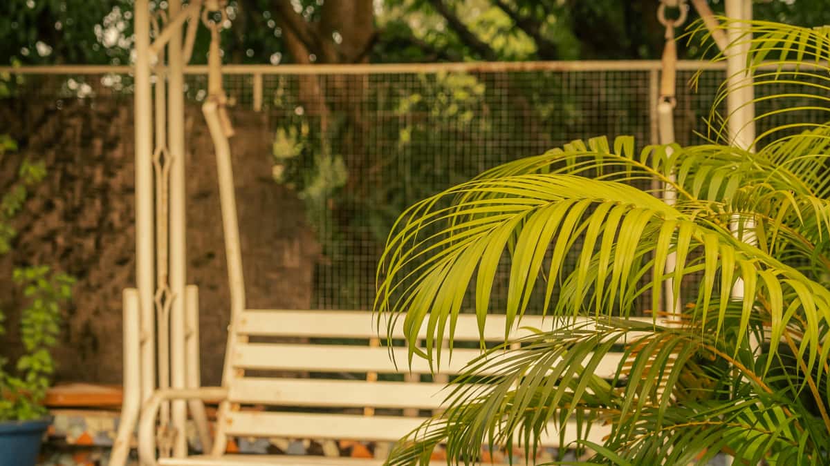 پاکستانی برانڈز کے لیے چنگاری اور لکسمبرگ میں منصفانہ نمائندگی کیسے ممکن ہے؟