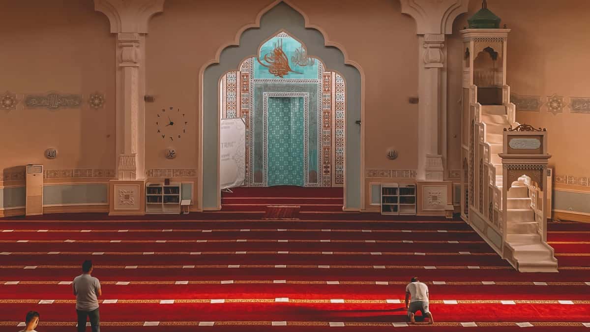 Pak Marketers - Mongolia TikTok Creators for Brand Lift
