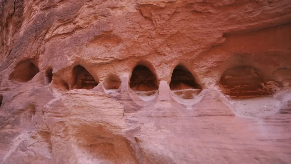 "پاکستانی برانڈز کے لیے نیوزی لینڈ کے WhatsApp کریئیٹرز کیسے ڈھونڈیں اور صحت مند لائف اسٹائل کی پہنچ بڑھائیں — عملی حکمتِ عملی اور رسک گائیڈ۔"