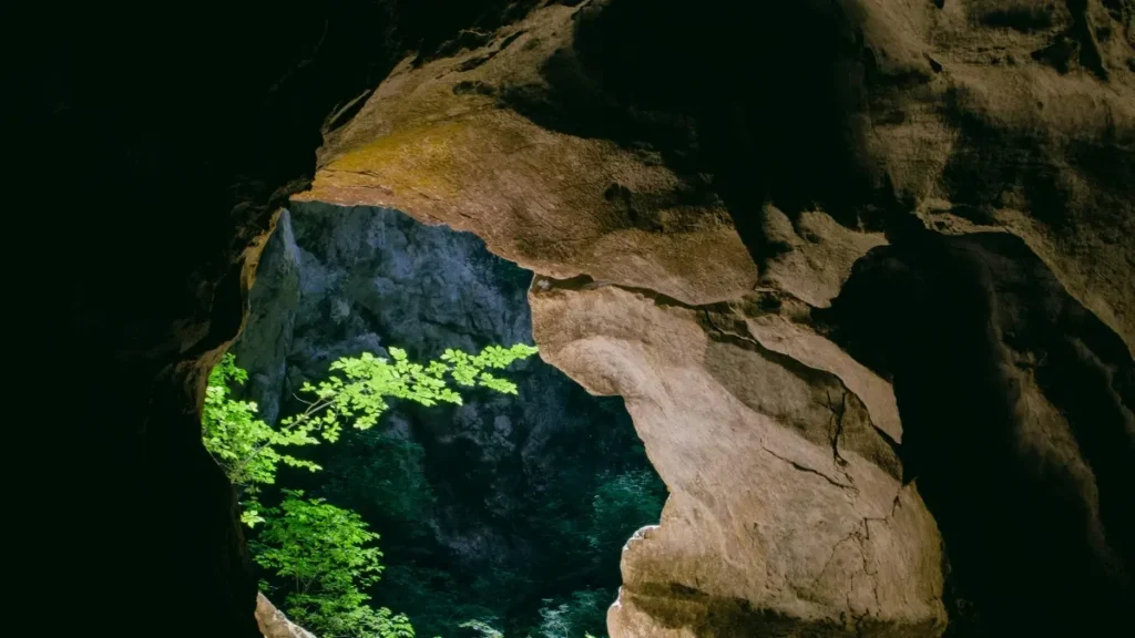 پاکستان سے آسٹریلوی برانڈز کو Line پر ایونٹ کورج شیئر کرنے اور sponsor tags کے ذریعے کیسے پہنچیں؟