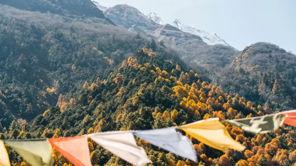 "پاکستانی کریئیٹرز کے لیے عملی گائیڈ — یوٹیوب پر پیرو (Peru) برانڈز تک پہنچ کر افیلیئیٹ پراڈکٹس پر ڈیلز اور کمیشن کیسے بڑھائیں۔"