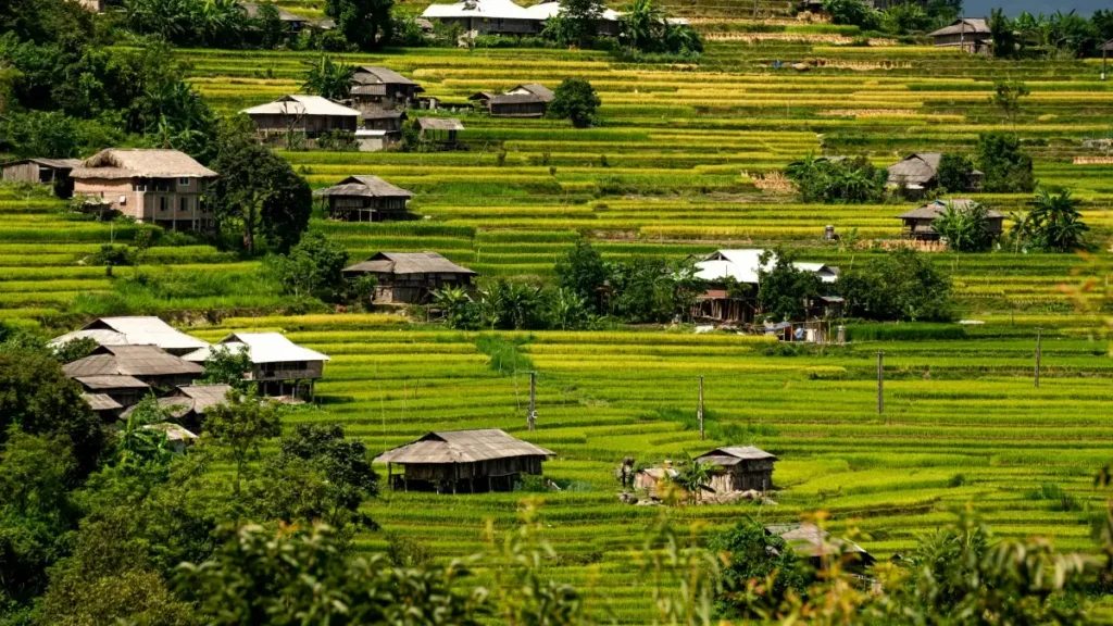 پاکستان کے اشتہاری حضرات کے لیے عملی حکمتِ عملی: کس طرح کینیا کے Discord کریئیٹرز تک پہنچیں، ٹیسٹ گروپس بنائیں اور پروڈکٹ تصورات کو ریئل فِیڈ بیک دیں۔