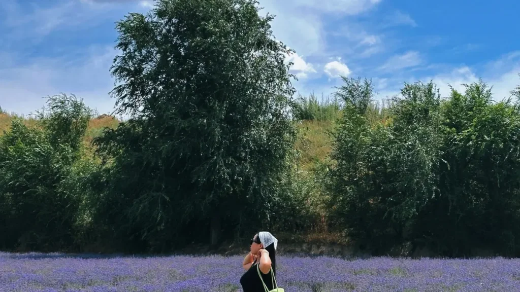 Pakistani creators کے لیے عملی رہنمائی: Lazada پر Czech برانڈز تک پہنچ کر گیم پبلشرز کے ساتھ پارٹنرشپ کیسے بنائیں — outreach templates، پیمنٹ، لاجسٹکس اور مقامی حکمتِ عملی۔