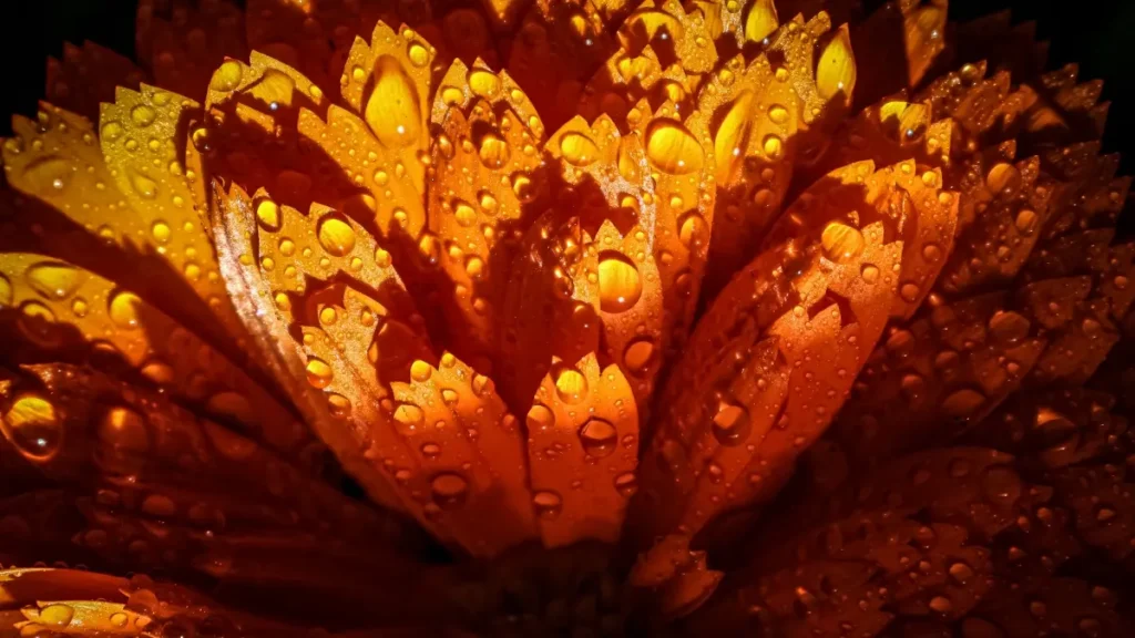 پاکستان کے ایڈورٹائزرز کے لیے عملی گائیڈ: مصر کے Etsy کریئیٹرز تلاش کر کے ڈانس چیلنجز میں کولیب کریں — ٹولز، حکمتِ عملیاں، اور لوکل ٹرینڈ ان­sights۔