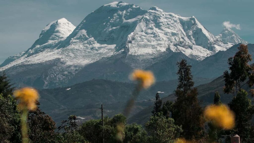 : Lithuania WhatsApp "musthave" AnyMind/WhatsApp