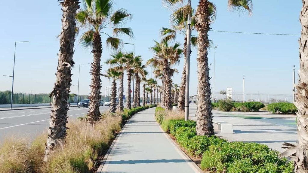 Discord Bolivia unboxing testimonial