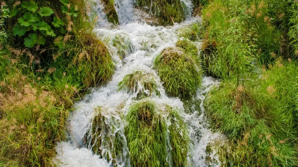 پاکستان کے کریئیٹرز کے لیے مکمل گائیڈ: Spotify پر برازیل برانڈز تک پہنچ کر محدود وقت ڈسکاؤنٹس شیئر کرنے کے عملی طریقے، ٹیمپلیٹس، اور ریئل ورلڈ مثالیں۔