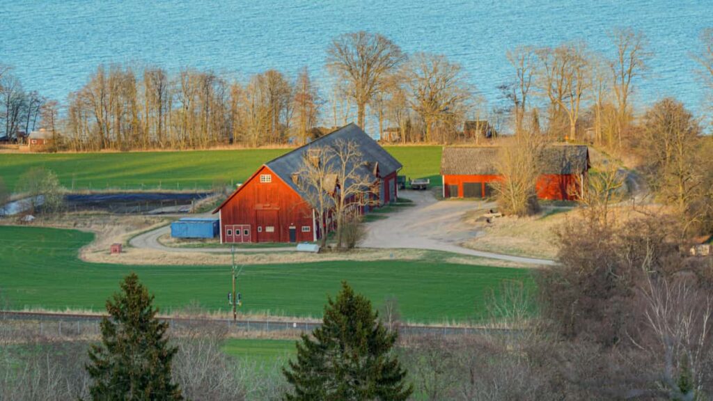 : Chingari creator-led outreach