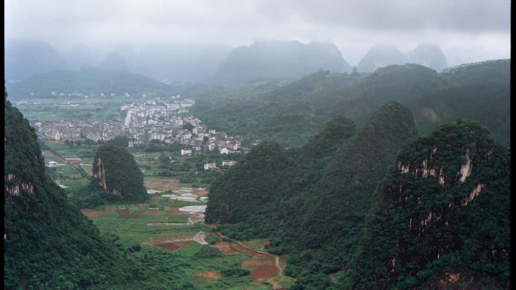 : Bilibili sustainability