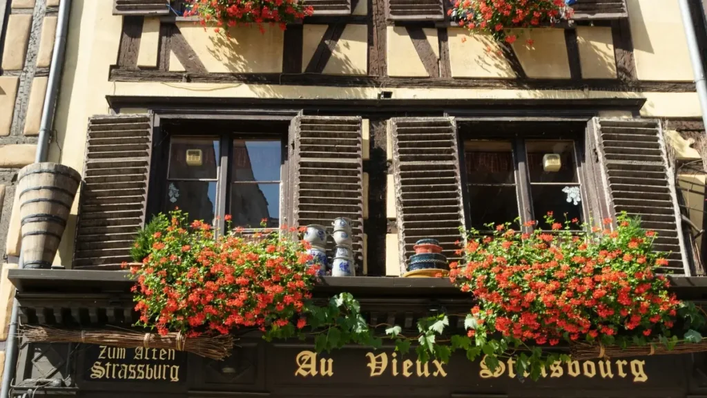 پاکستان کے اشتہاری حضرات کے لیے عملی گائیڈ: Costa Rica میں ShareChat creators ڈھونڈنے، میک اپ ٹیوٹوریلز لانچ کرنے اور کراس‑پلیٹ فارم چینلنگ کے بہترین طریقے۔