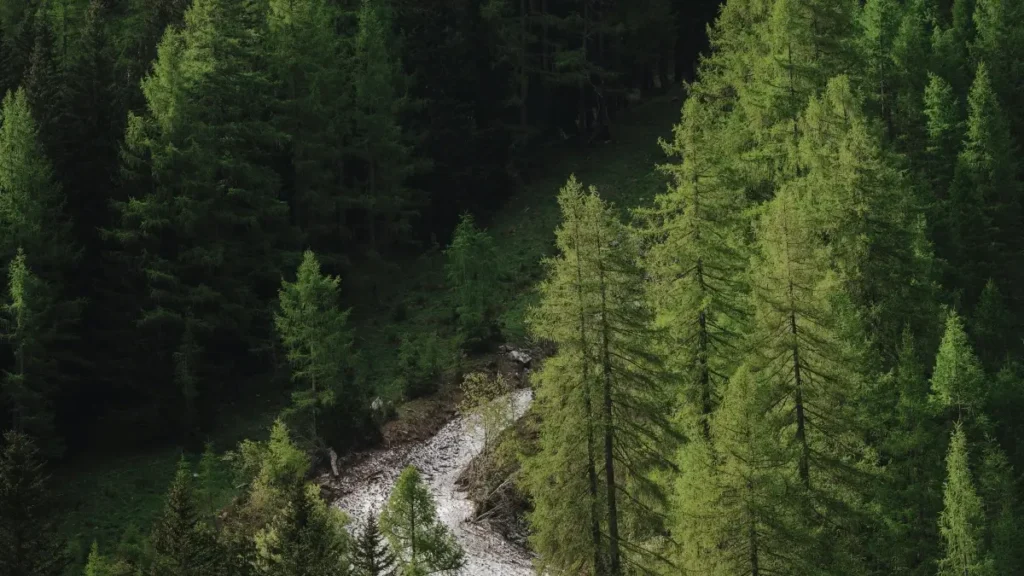 پاکستان کے برانڈز کے لیے عملی گائیڈ — Portugal کے Facebook creators ڈھونڈ کر PR پیکیجز بھیجنے، Meta کے نئے APIs اور Partnership Ads Hub کے فوائد کے ساتھ۔ آسان چیک لسٹ، outreach ٹیمپلیٹس اور رسک نوٹس۔