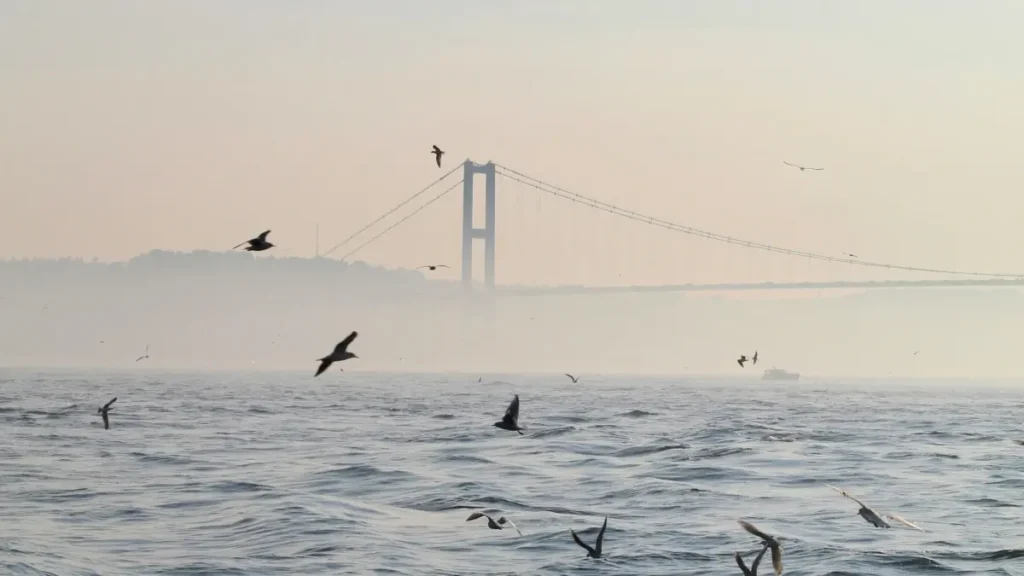 ایک عملی گائیڈ برائے پاکستانی کریئیٹرز: HBO Max پر ایکواڈور برانڈز تک پہنچ کر گِو اوے اور انگیجمنٹ بڑھانے کے اسٹراٹیجیز، مقامی مثالیں، اور VPN/پریمیم ڈسکاؤنٹس کے چیک پوائنٹس۔