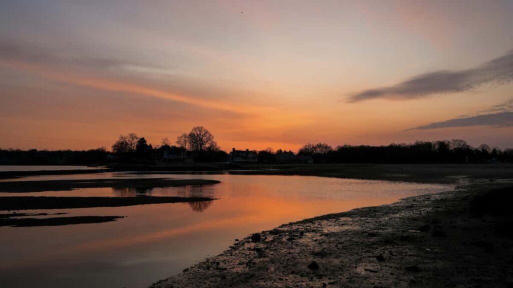 Roposo song reaction