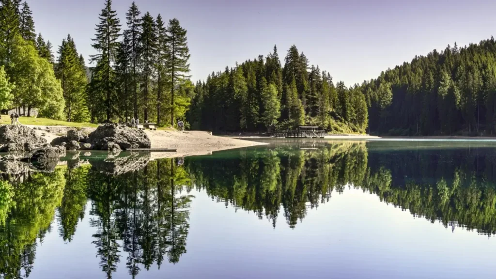 پاکستان کے کریئیٹرز کے لیے عملی گائیڈ: LinkedIn پر نیپال برانڈز تک پہنچنا، outreach ٹمپلٹس، کولیب طریقہ، اور پلیٹ فارم حکمتِ عملی — اسٹائلنگ کے لیے برانڈ پروڈکٹس حاصل کریں۔