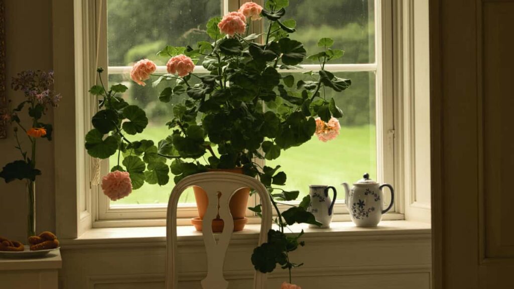 Taobao Portuguese beforeafter