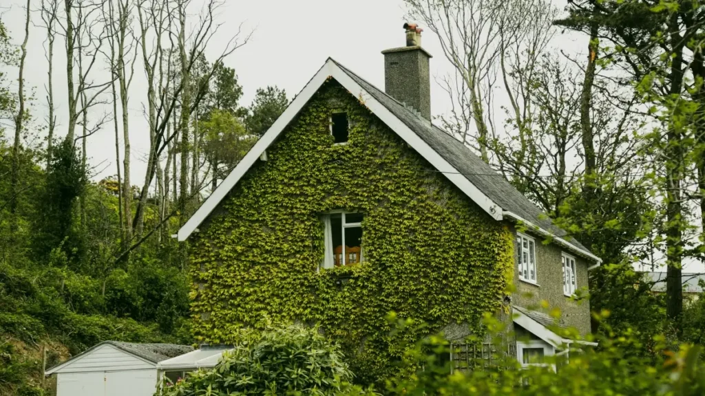 پاکستان کے برانڈز کے لیے عملی گائیڈ: آسٹریا کے WeChat کریئیٹرز تلاش کرنا، ویلنَس مہم چلانے کا لوکل طریقہ، رسک مینجمنٹ اور قابلِ اعتبار صحتیاتی معلومات کی پریکٹس۔