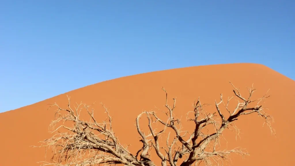 پاکستانی ایڈورٹائزرز کے لیے عملی گائیڈ: کینیا کے Zalo کریئیٹرز ڈھونڈنا، وائرل ان باکسنگ کیمپینز کے لیے ریچرچ، رِسک اور collaboration ٹیکٹکس — آسان، لوکل اور عملی۔