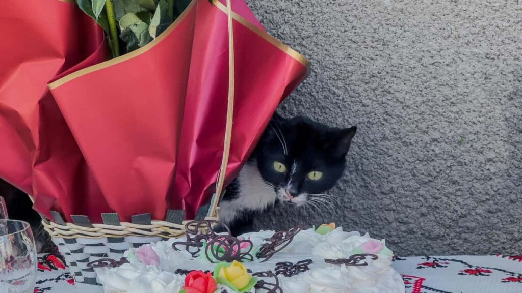 : YouTube clean beauty