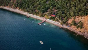 یہ گائیڈ پاکستانی مائیکرو کریئیٹرز کو بتاتی ہے کہ Rumble پر کمبوڈیا برانڈز تک کیسے پہنچیں، practical outreach ٹیکٹس، پیشن گوئیاں اور مقامی مثالیں۔