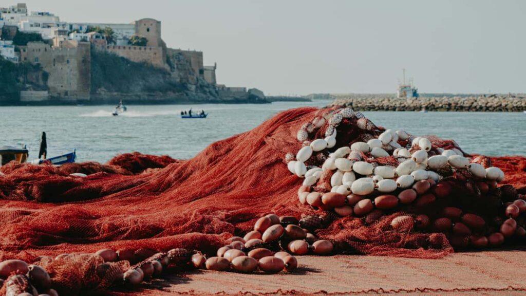 : Roposo culture-fit