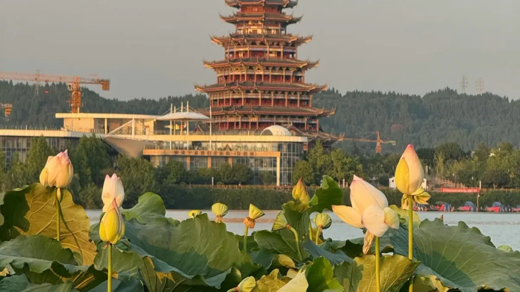 پاکستان کے creators کے لیے عملی گائیڈ: Roposo پر Hungary برانڈز تک کیسے پہنچیں، کون سے ٹریکس کام کرتے ہیں، اور آگے کے مواقع کیا ہیں۔