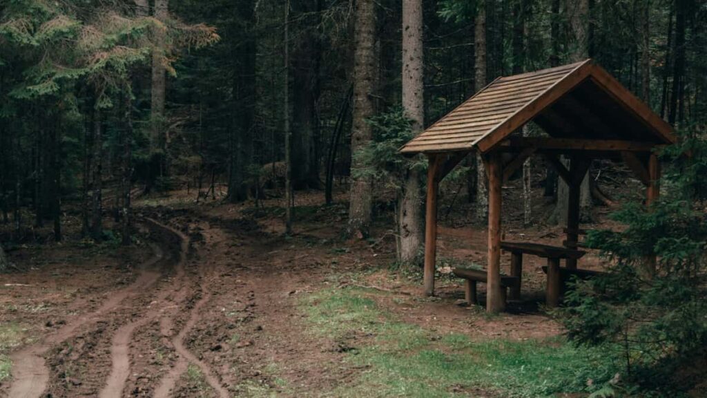 : Zalo beforeandafter