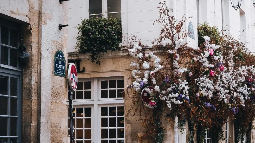 زالو پر تیونیشیا برانڈز تک پہنچنے، Sponsored tools استعمال کر کے ٹپس شیئر کرنے اور دھوکہ دہی/پالیسی خطرات سے بچنے کا عملی گائیڈ۔ مقامی تجاویز اور قدم بہ قدم سٹریٹیجی۔