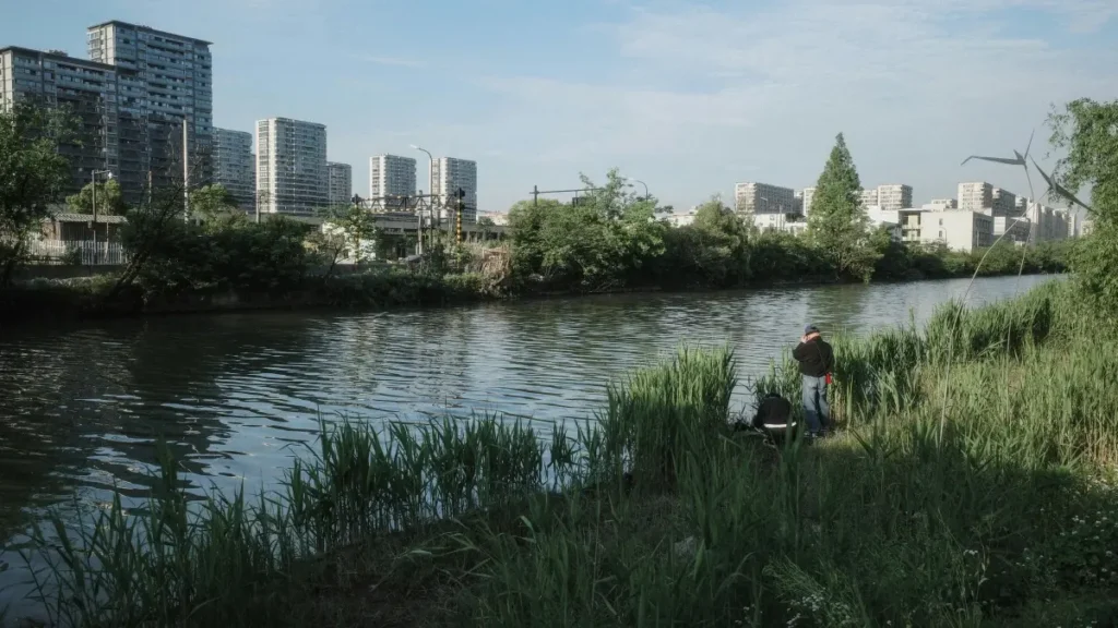 پاکستانی ایڈورٹائزرز کے لیے عملی گائیڈ: ارجنٹائن کے Taobao/Alibaba کریئیٹرز تلاش، ویریفائی، اور سیزنل سیلز چلانے کے لیے لوکلائزڈ حکمتِ عملیاں۔