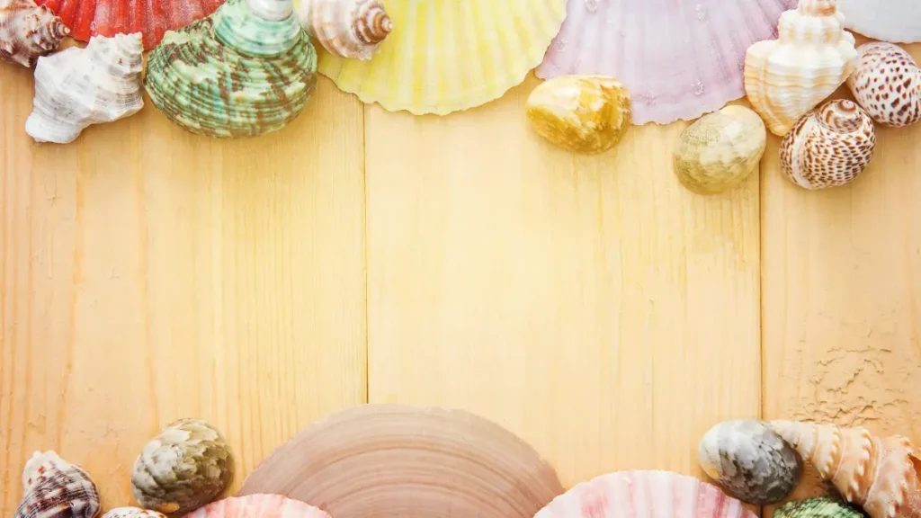 پاکستان کے ایڈورٹائزرز کے لیے عملی گائیڈ: کینیڈا میں WhatsApp کریئیٹرز تلاش کرنے، ان سے ڈیل کرنے، اور آن لائن لرننگ پلیٹ فارمز کو پروموٹ کروانے کے سمارٹ طریقے۔