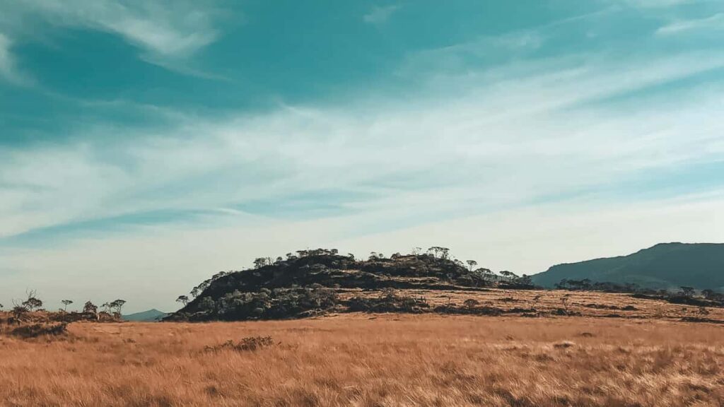 : Kenya ShareChat ROI