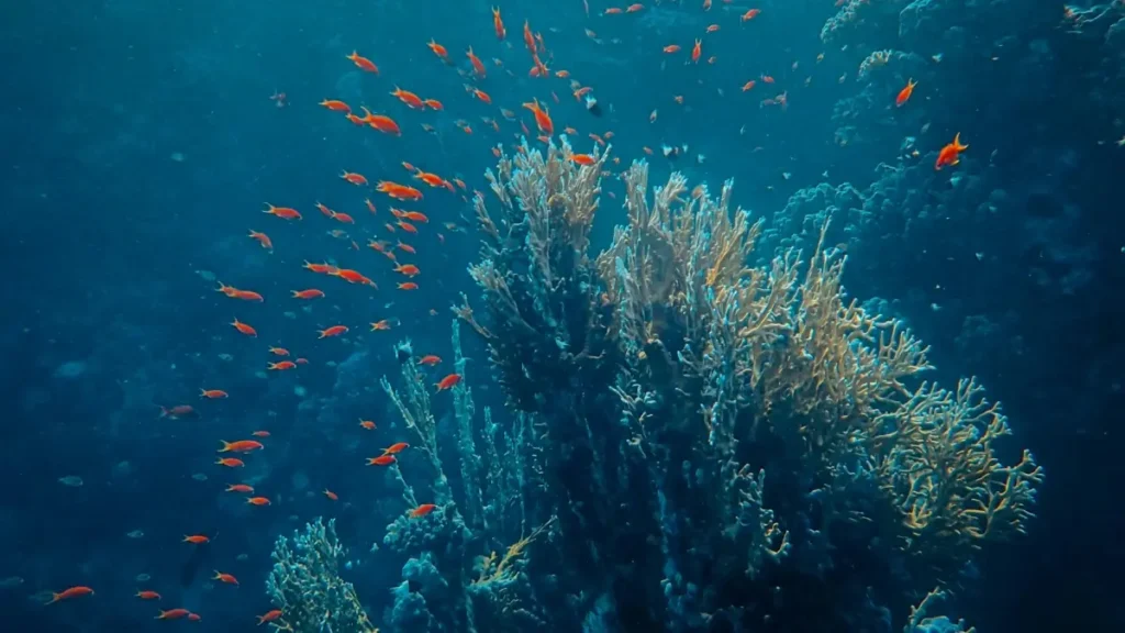 Pinterest پر ملائیشیا برانڈز تک پہنچ کر ٹریول پلاننگ گائیڈز تیار کرنے کا عملی روڈ میپ — پاکستان کے کریئیٹرز کے لیے قدم بہ قدم حکمتِ عملی۔