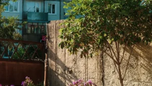 چھوٹے اور درمیانے پاکستانی برانڈز کے لیے عملی گائیڈ: آسٹریا کے Taobao کریئیٹرز تک پہنچ کر برانڈ سینٹیمنٹ کیسے بہتر کریں — چینل، ریچ، اور قانونی/کلائمیٹ ٹرینڈز کو مدنظر رکھتے ہوئے۔