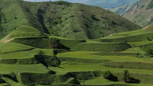 پاکستان کے اشتہاریوں کے لیے عملی گائیڈ: یوکرین کے Clubhouse/آڈیو کریئیٹرز کو کیسے تلاش کریں، ٹیسٹ مارکیٹ ڈیمانڈ کریں اور کم بجٹ میں پرفارمنس مانیٹر کریں۔