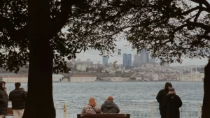 پاکستانی advertisers کے لیے سیدھا گائیڈ: ارجنٹینا کے Bilibili creators کیسے ڈھونڈیں، engagement کیسے بڑھائیں، اور budget ضائع کیے بغیر smart collabs کیسے کریں۔